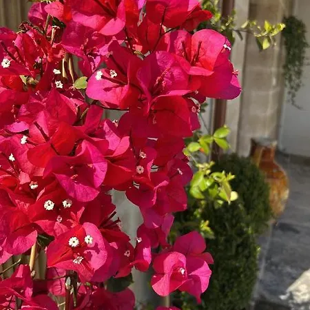 Battisti 7 Guest house Lecce